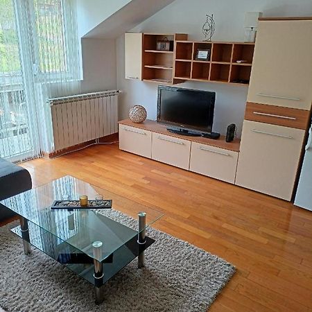 Apartman Romansa Apartment Vrnjacka Banja Luaran gambar